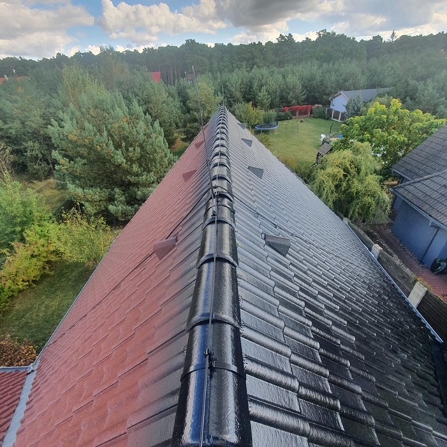 Realizace Dachman Technik 29