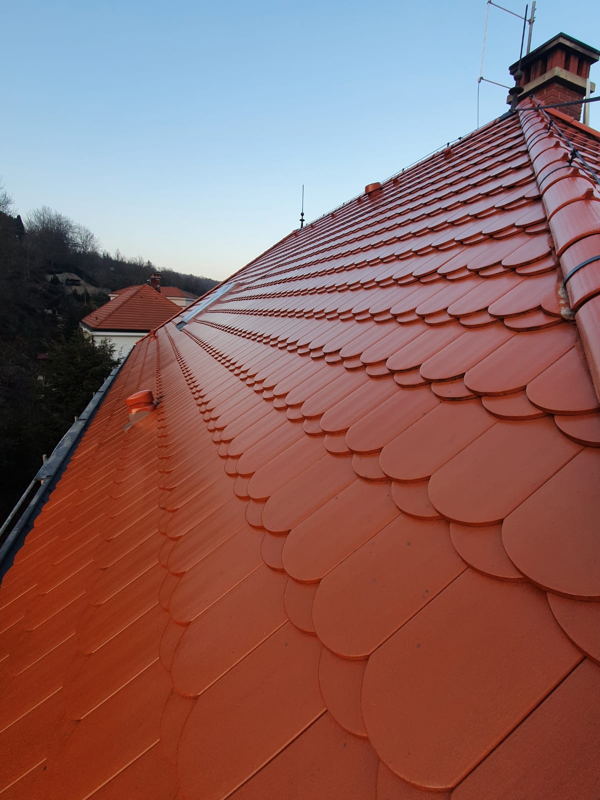 Realizace Dachman Technik 55