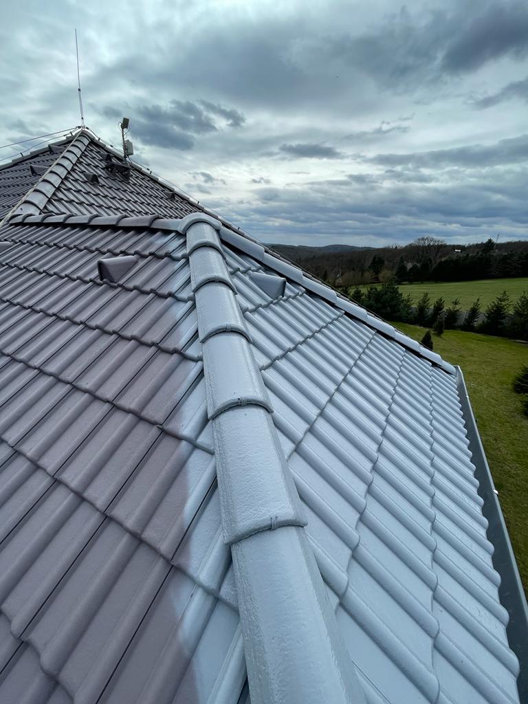 Realizace Dachman Technik 93